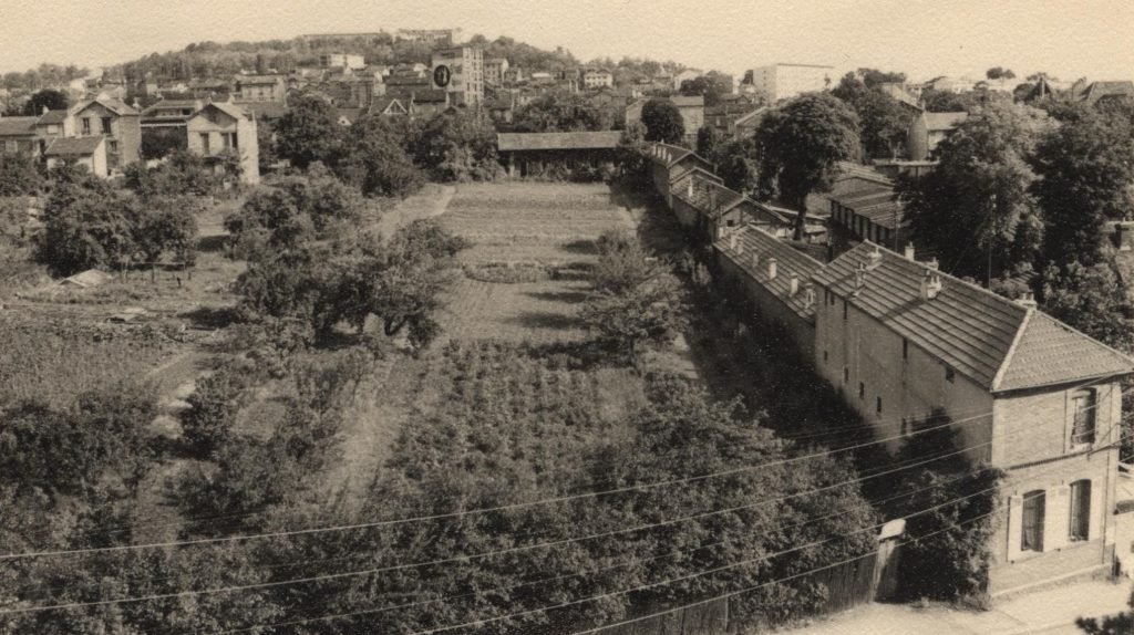 1956